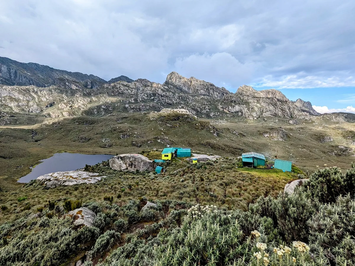 High Rwenzori views near Weismann's Peak
