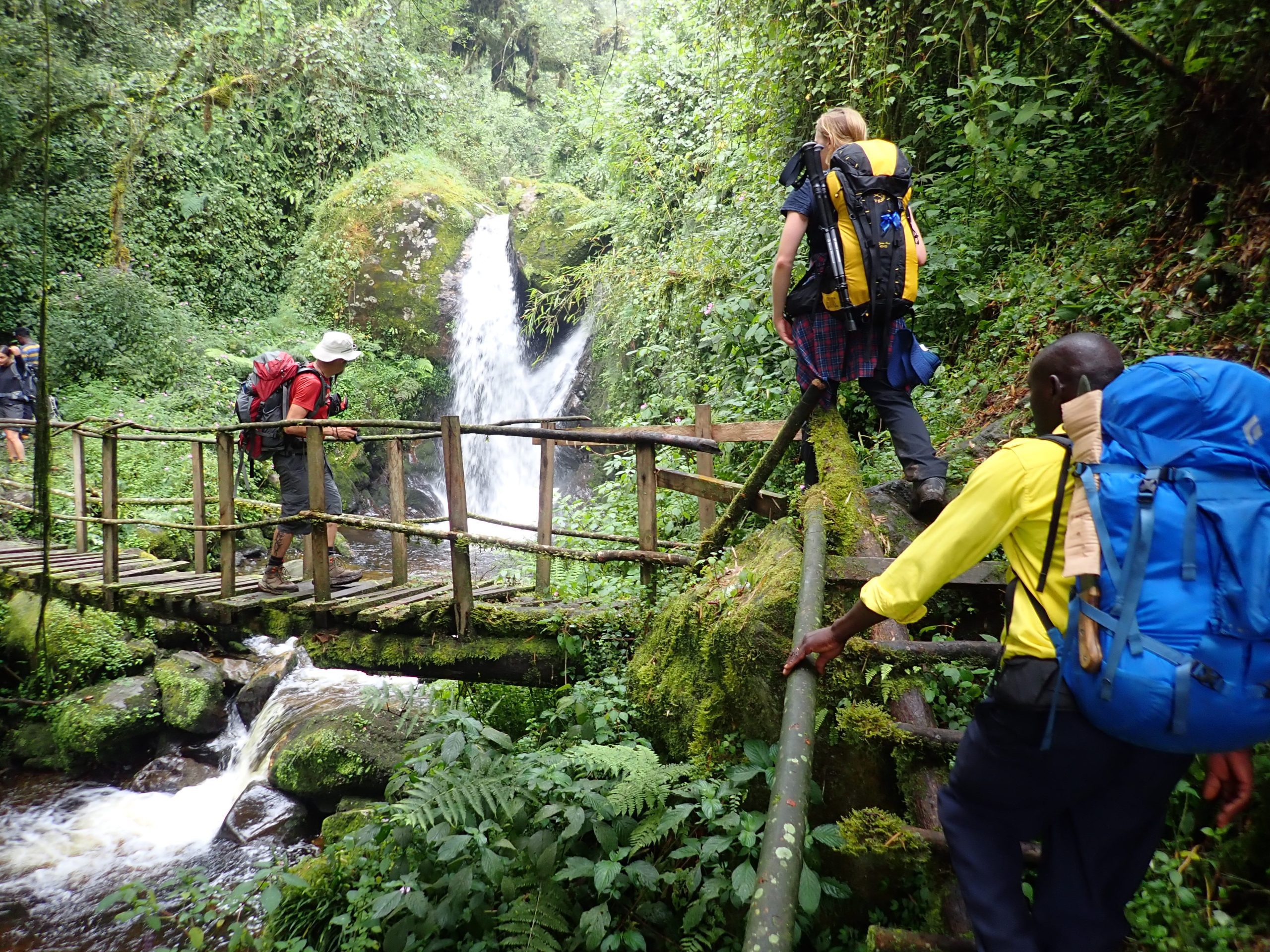 Enock's Falls near Sine Hut in the Rwenzori Mountains
