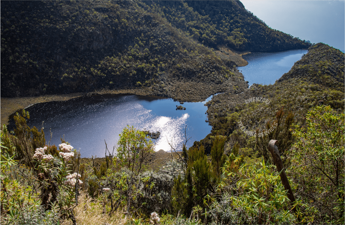Glacier lake valley in the Rwenzori Mountains