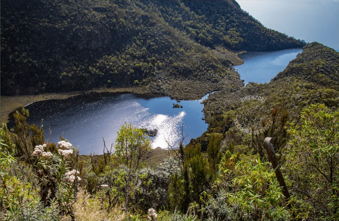 Glacier lake valley in the Rwenzori Mountains
