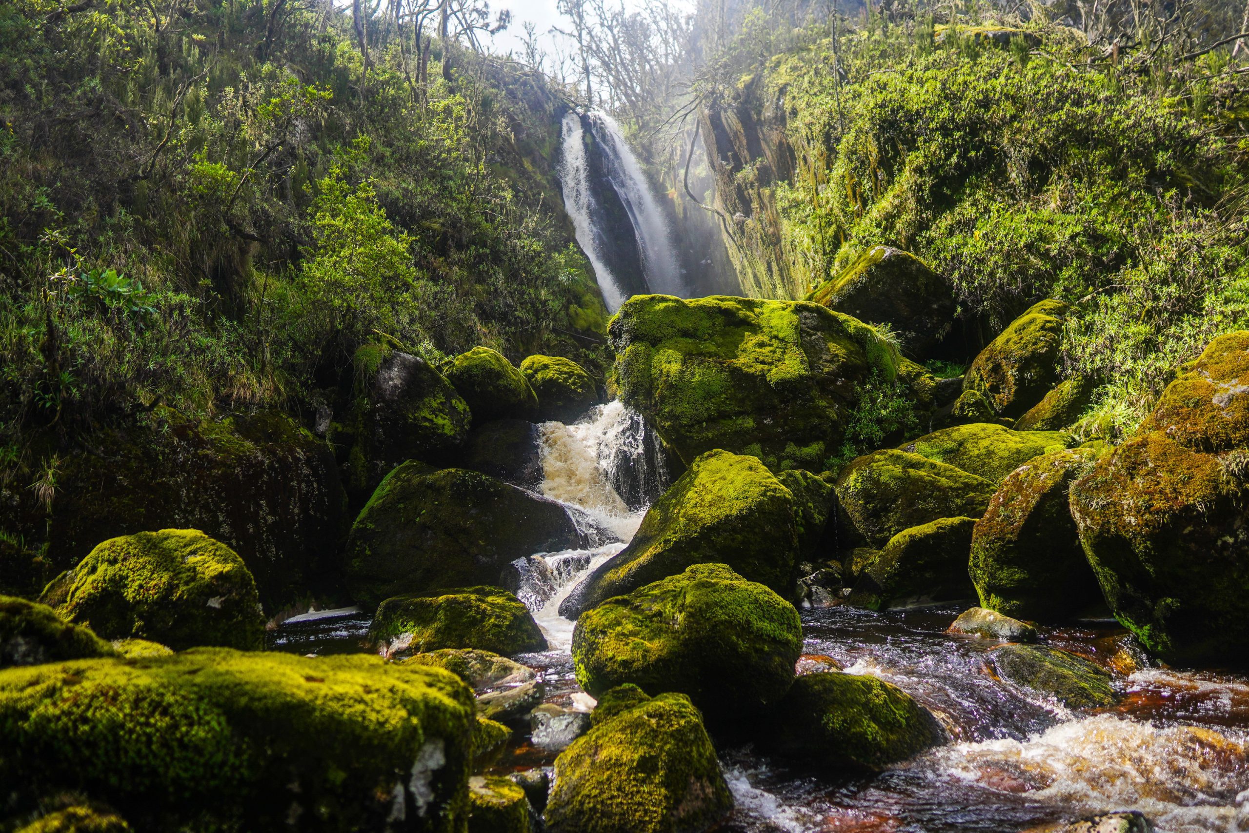 Waterfalls and cliffs near Kiharo Camp in the Rwenzori Mountains