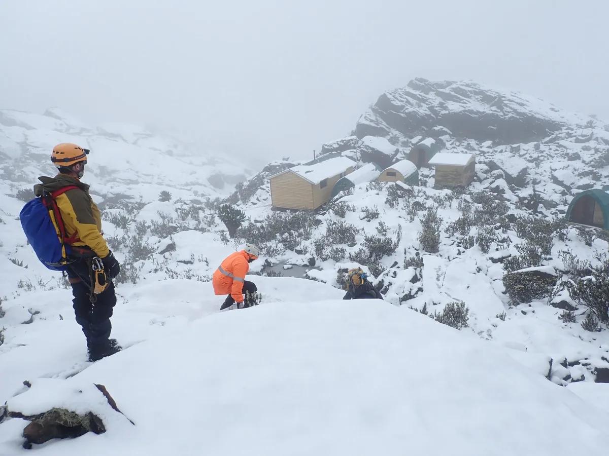 Margherita Camp in the high Rwenzori Mountains