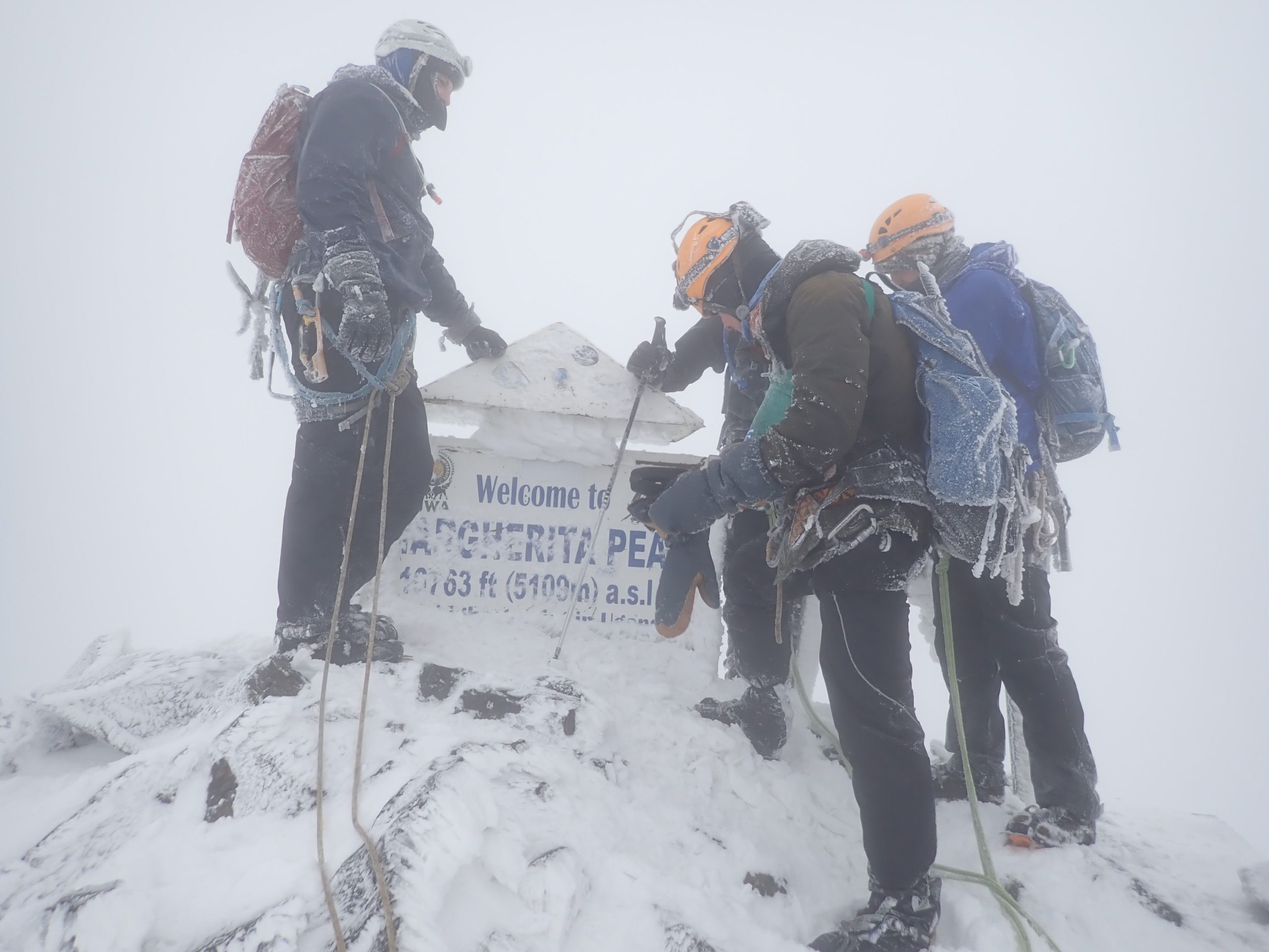 High Rwenzori summit terrain near Margherita Peak