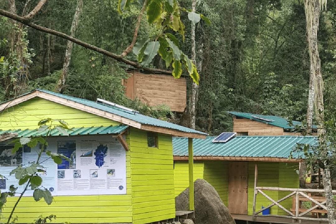 Sine Camp on the Rwenzori trek