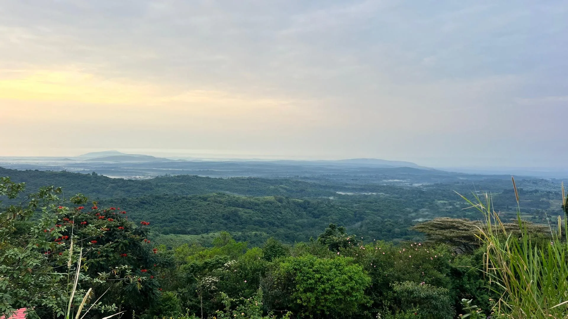 Scenic road transfer toward Kibale Forest National Park