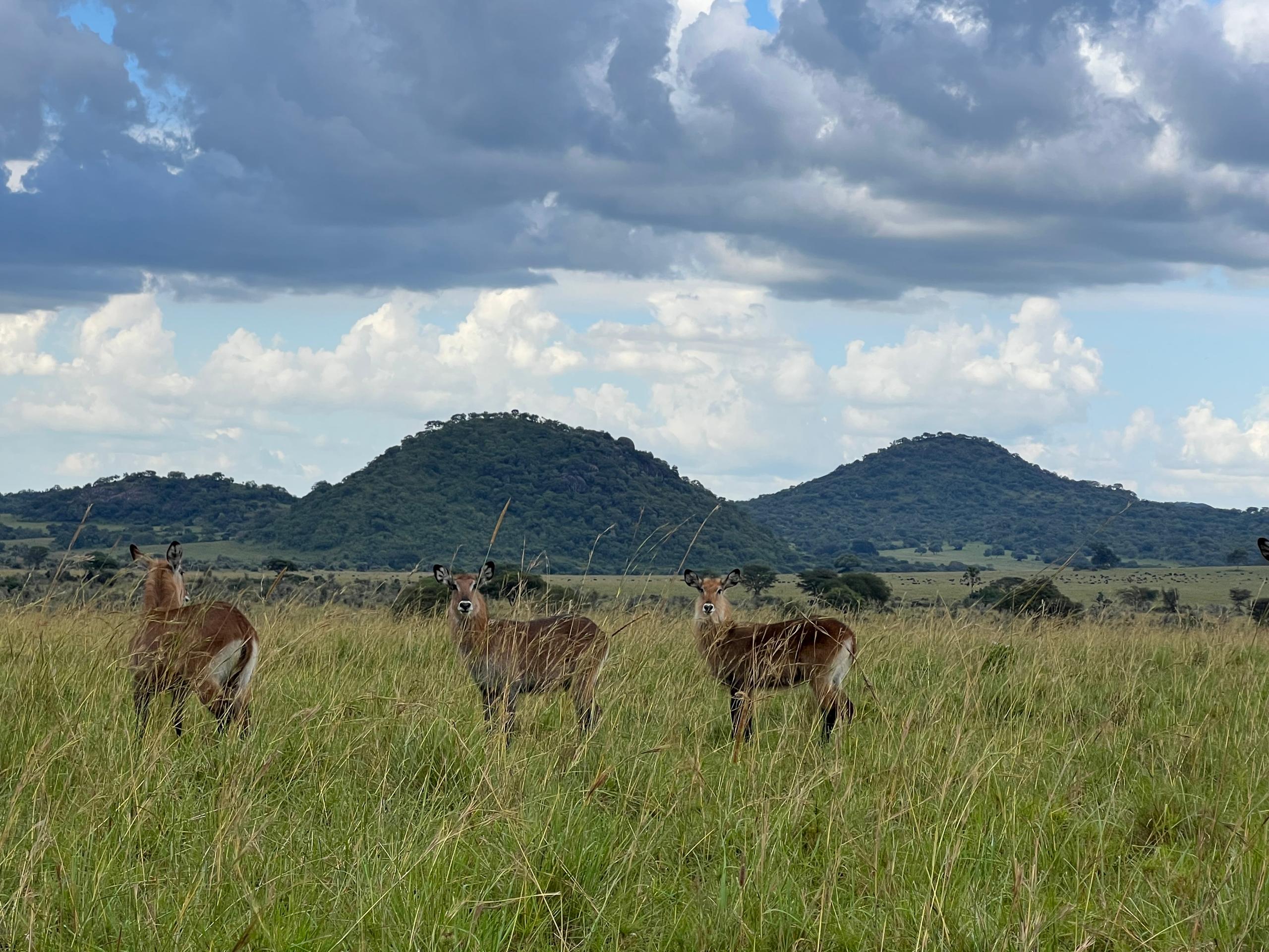 Narus Valley exploration