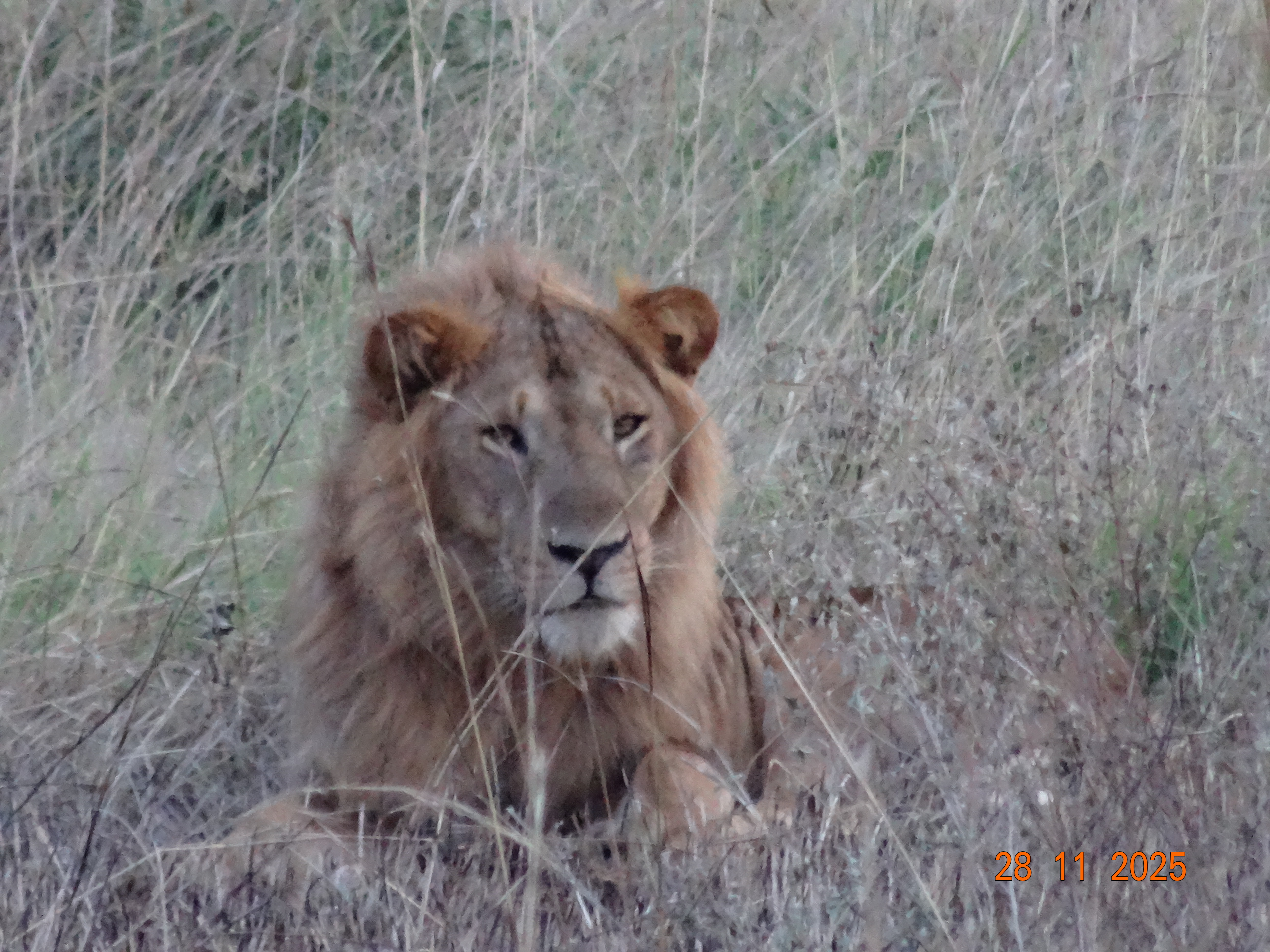 Day 7 Queen Elizabeth National Park