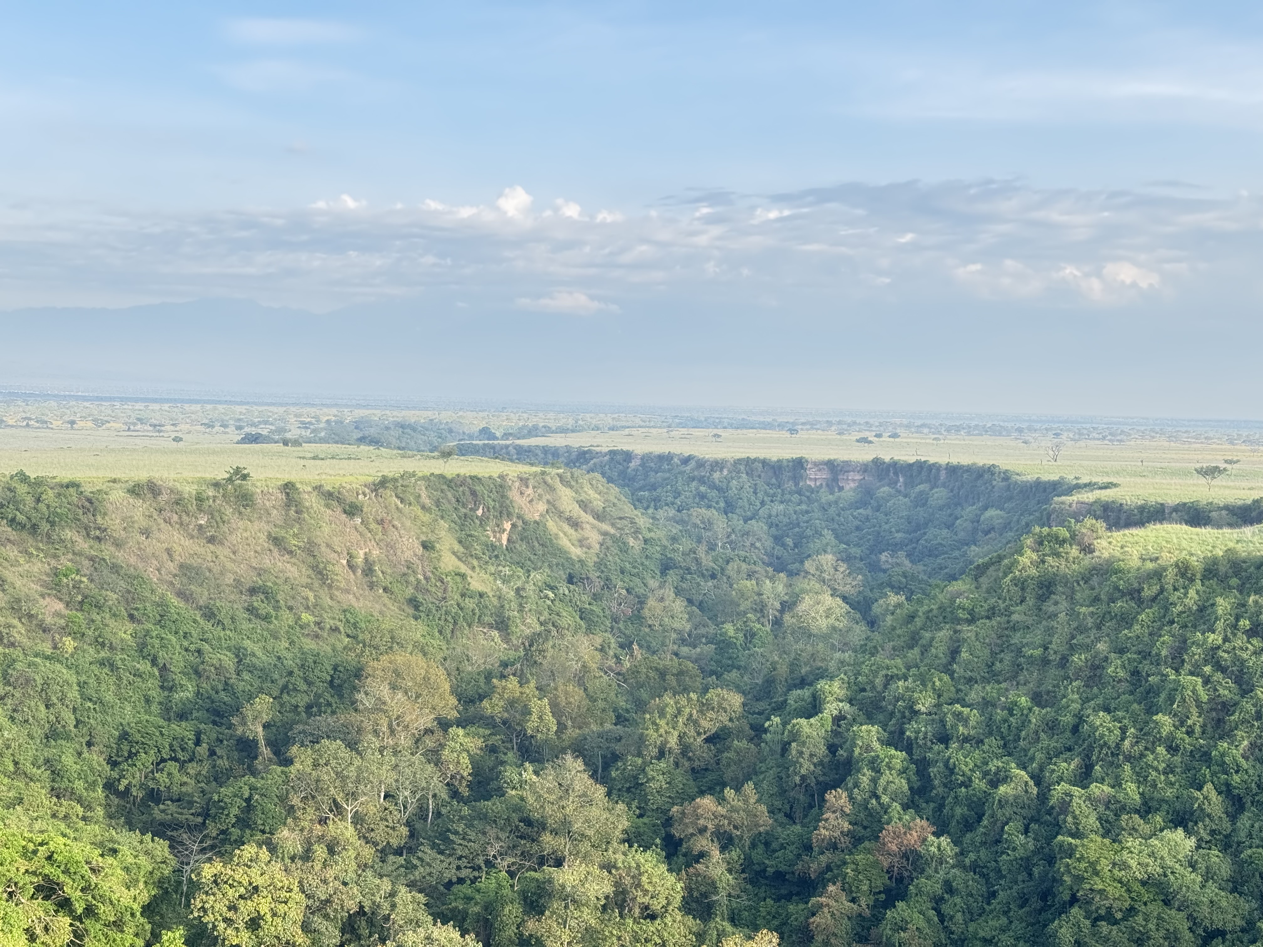 Kyambura Gorge chimpanzee trek