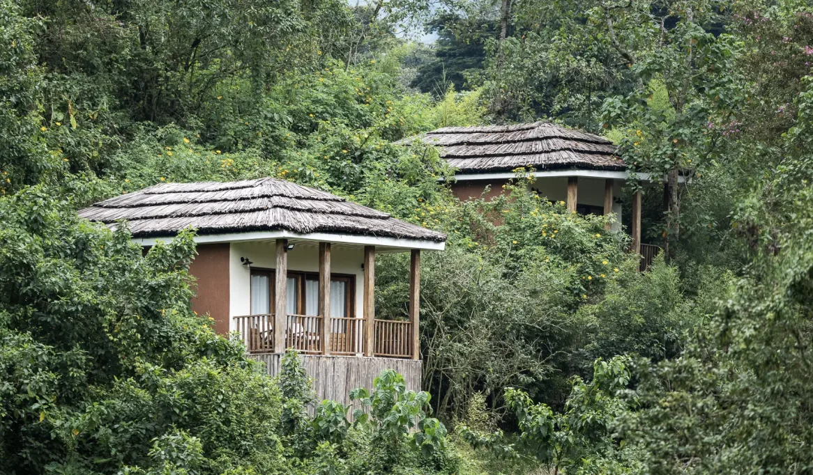 Rushaga Gorilla Safari Lodge cottage view in Bwindi