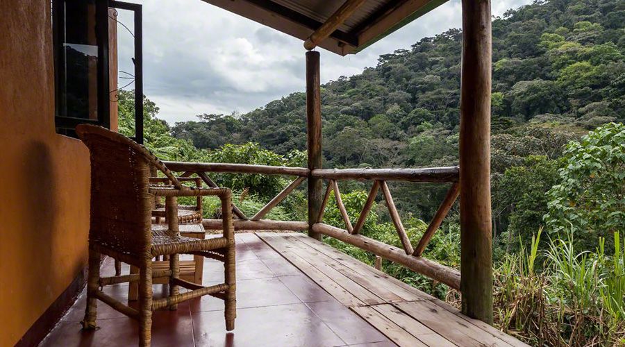 Gorilla Valley Lodge view in Bwindi