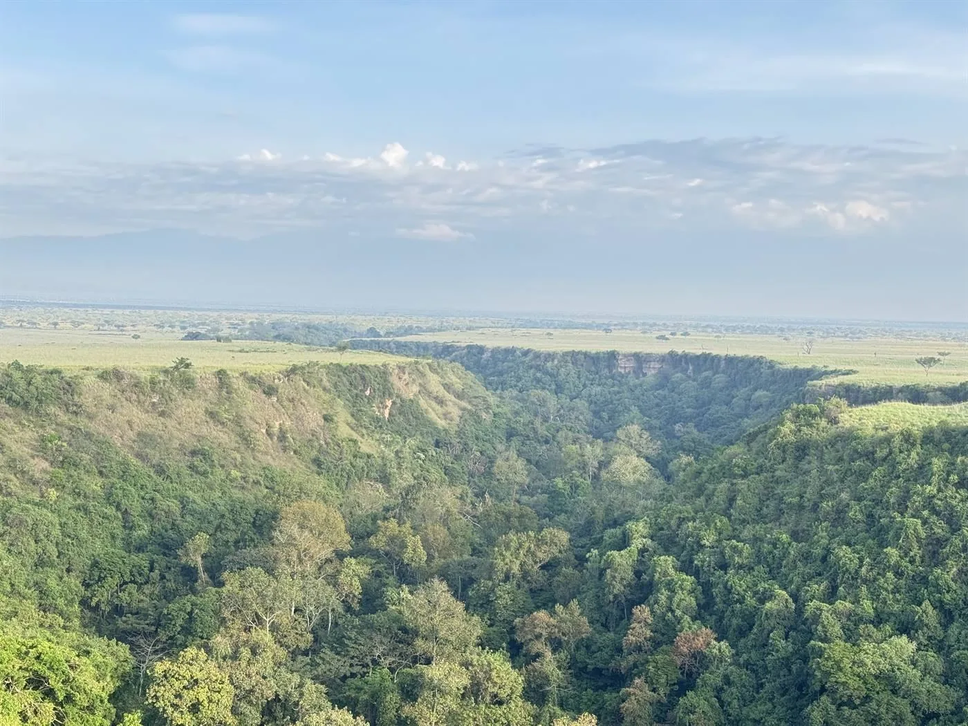 Kyambura Gorge chimpanzee trek