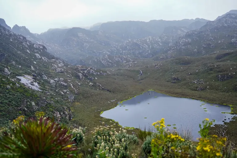 High Rwenzori pass with mountain views