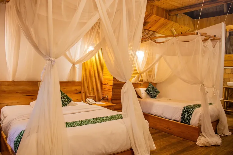 Elephant Hab twin room