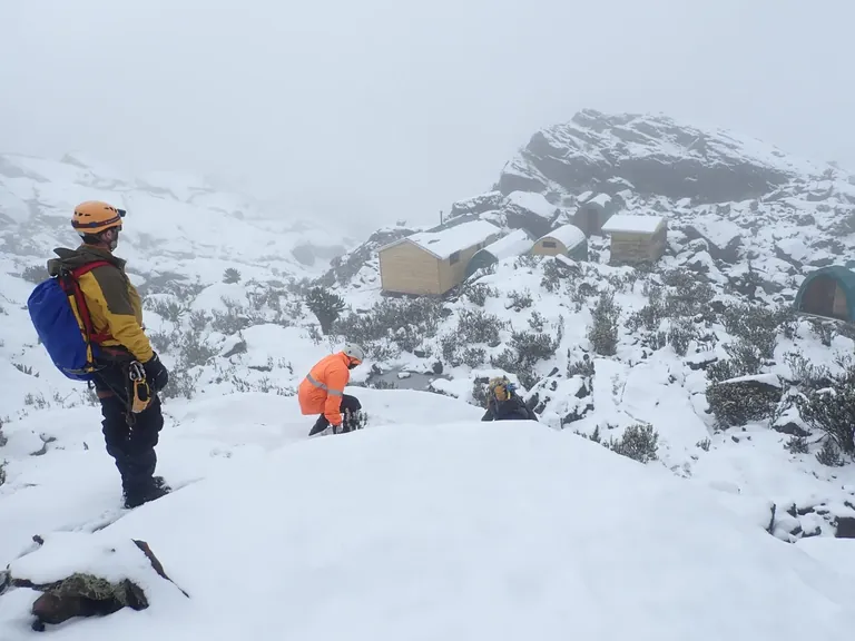 Rwenzori summit approach landscape