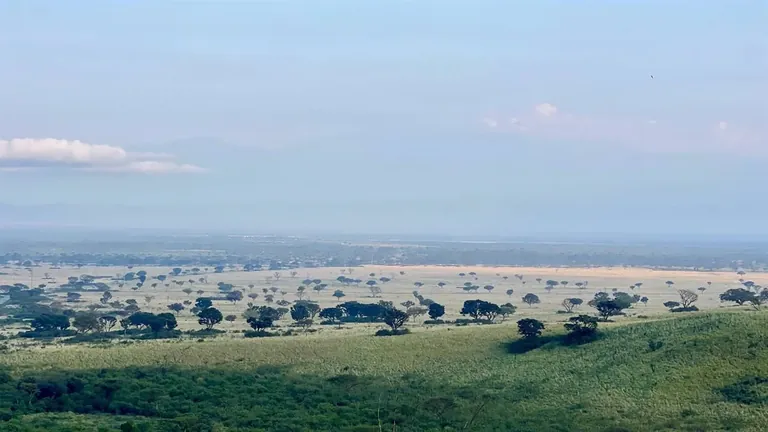 Queen Elizabeth National Park landscape