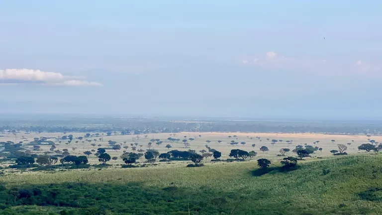 Queen Elizabeth safari landscape