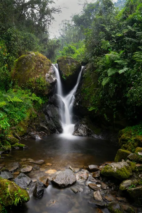 Rwenzori alpine valley and mountain scenery