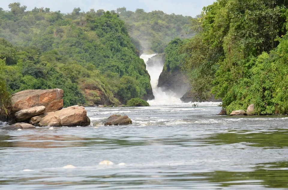 Family wildlife game drive in Uganda safari country