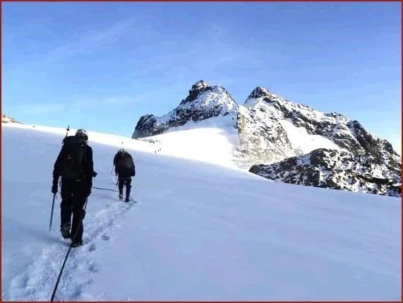 Rwenzori base scenery