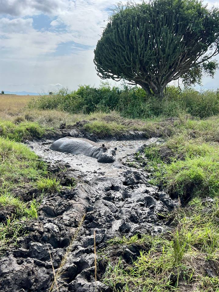 Extended hiking and wildlife safari