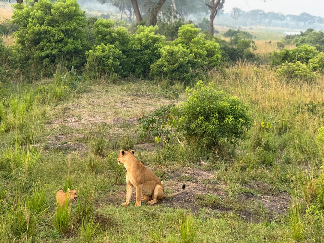 Uganda Equator stop on the return drive to Entebbe at the end of a family safari