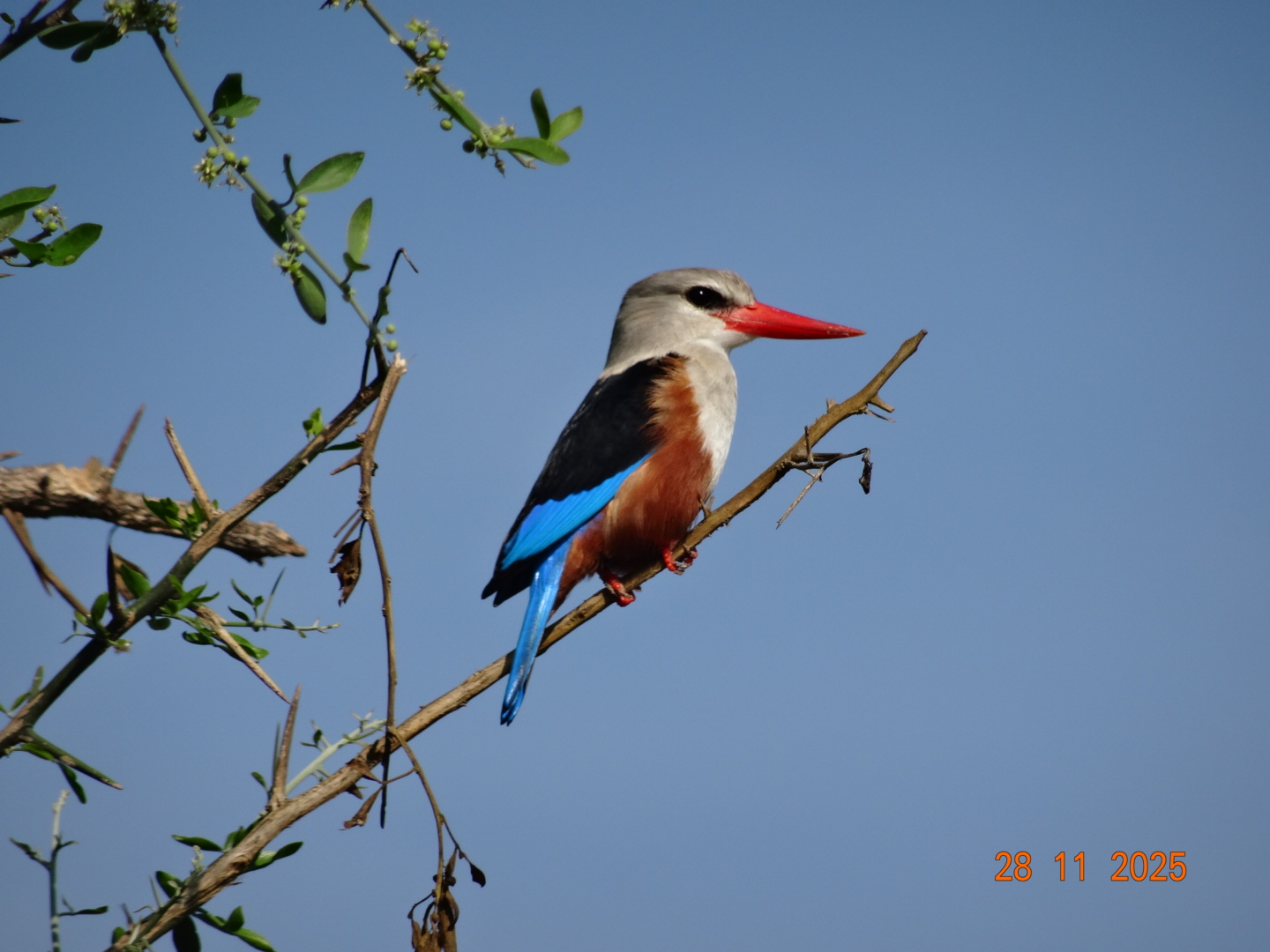 Arrival transfer experience in Entebbe